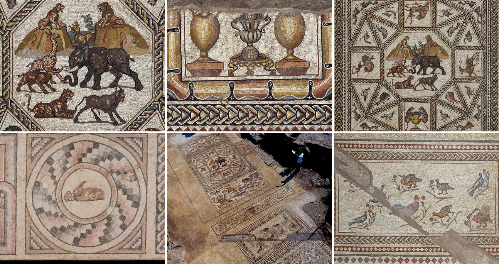 Breathtaking 1,700-year-old Lod mosaic to finally have a floor to call home