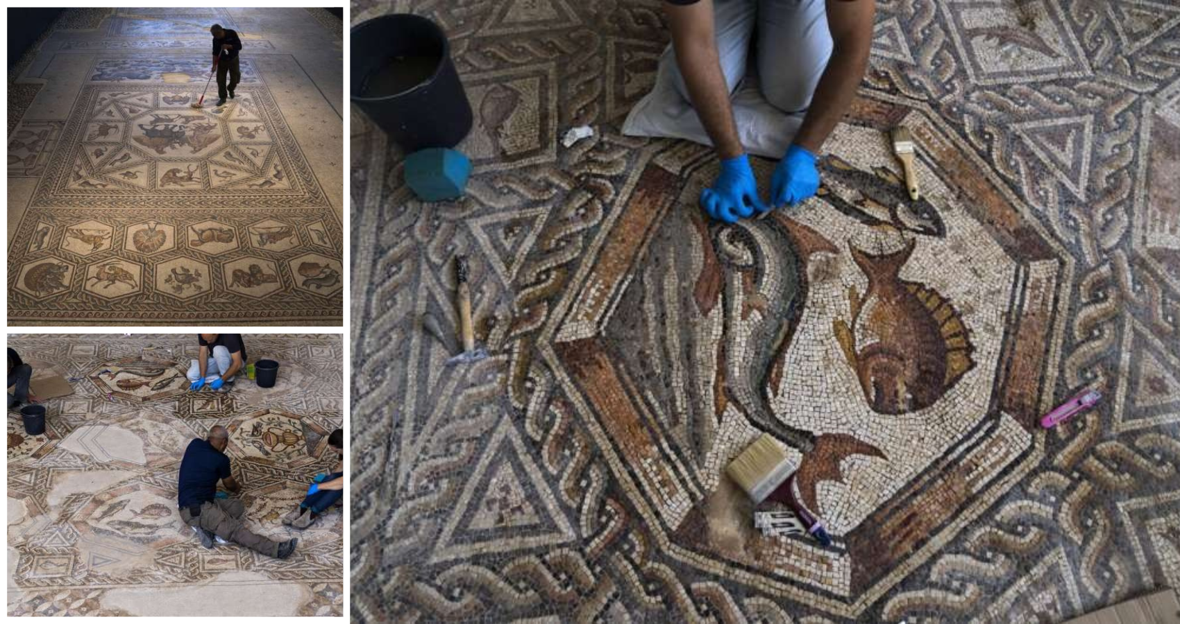 Stunning Roman mosaics return home to new Israeli museum