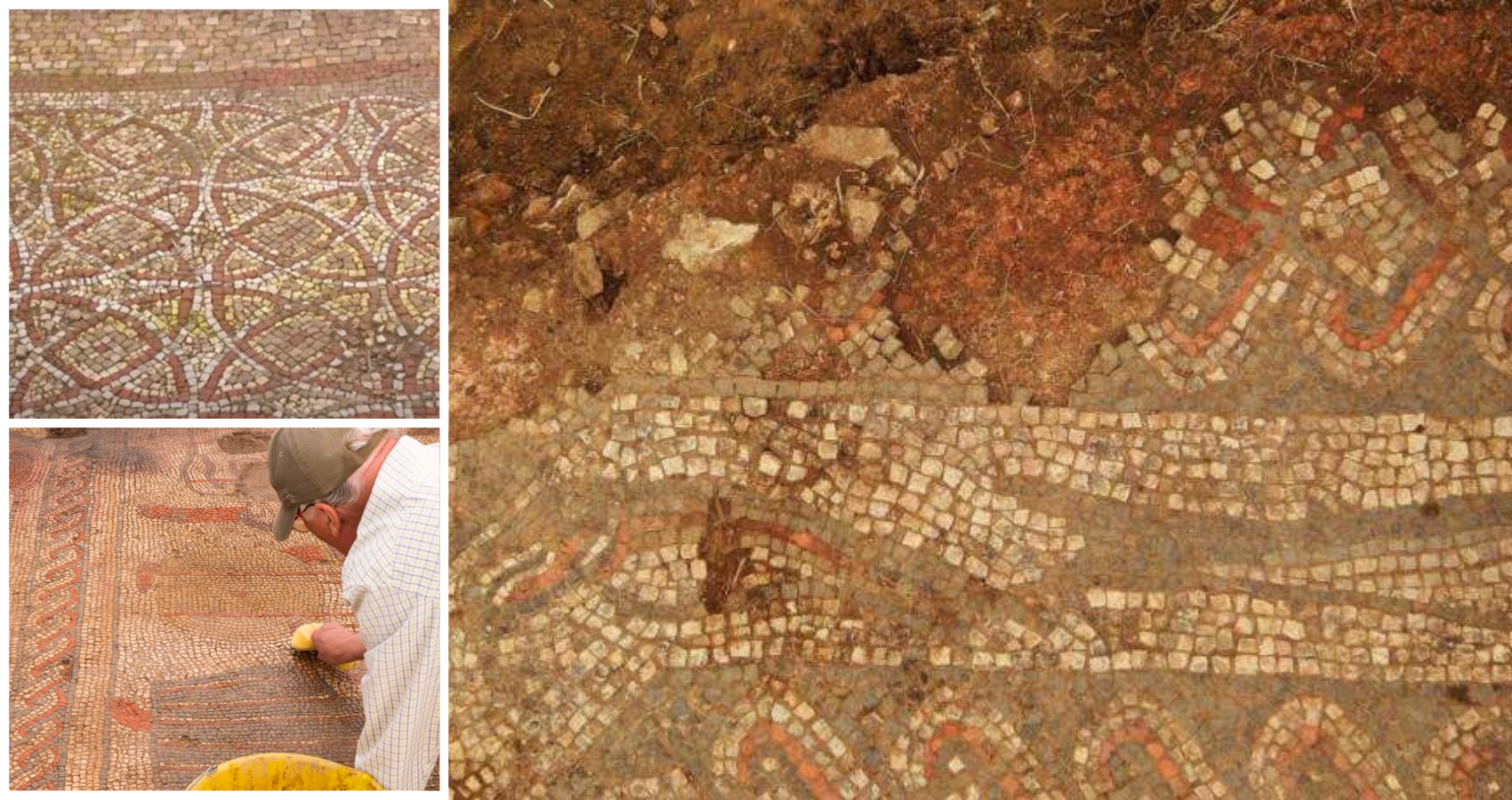 Lufton Villa excavations reveal new details about famous fish mosaic