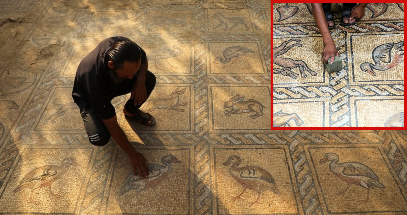 Palestinian Farmer Unearths Byzantine-Era Mosaic While Planting Olive Trees