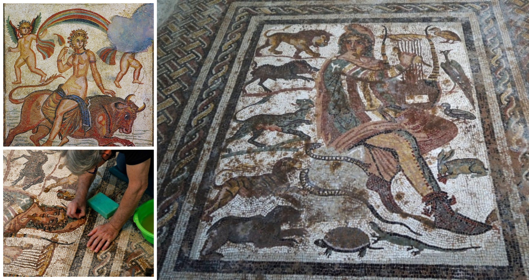 Stunning Ancient Mosaics Adorn New Museum in Sparta, Greece
