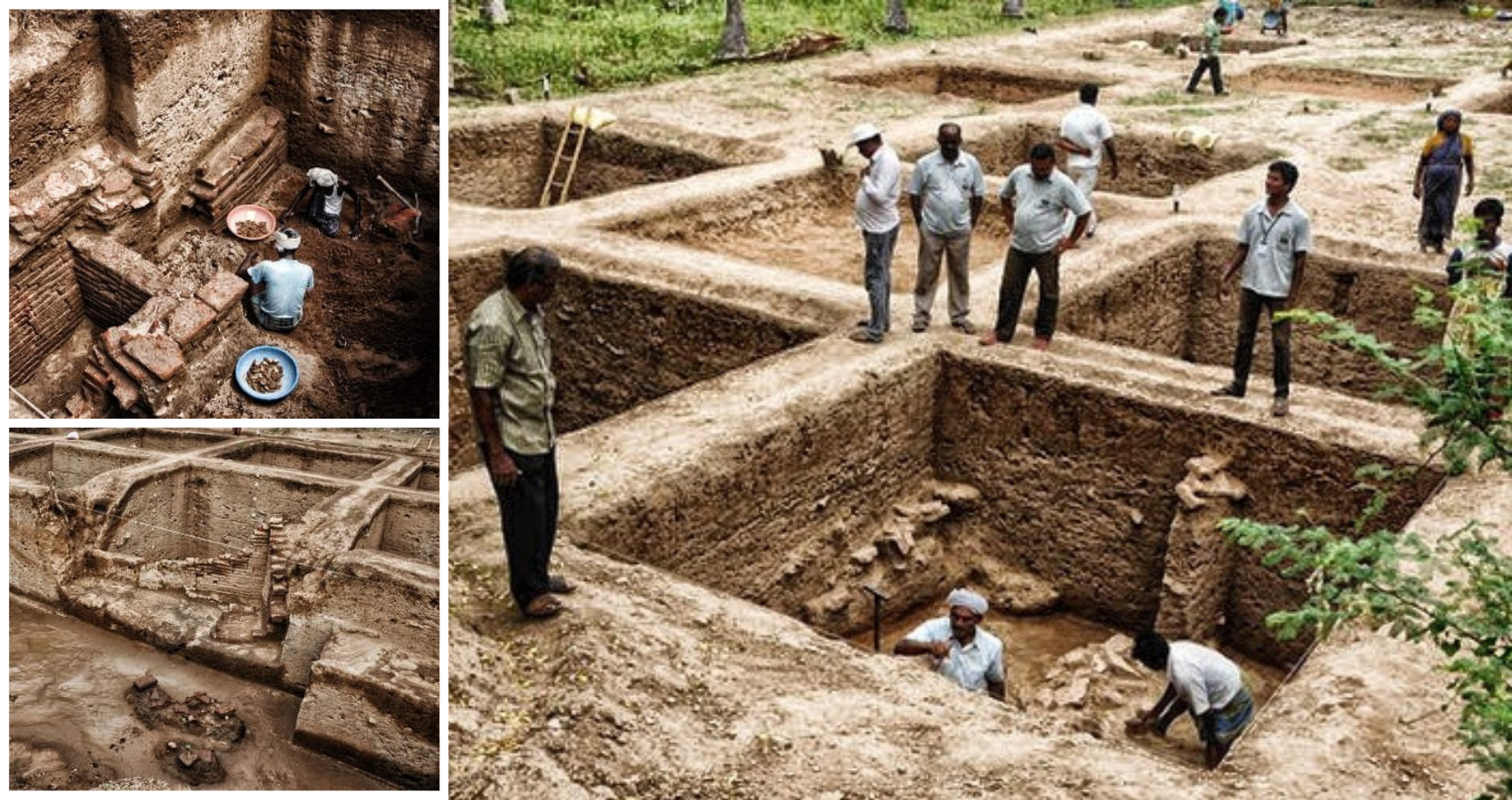 Harappa-like Site Surfaces in Tamil Nadu; 3,000 Ancient Artifacts Found