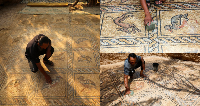 Palestinian Farmer Unearths Byzantine-Era Mosaic While Planting Olive Trees