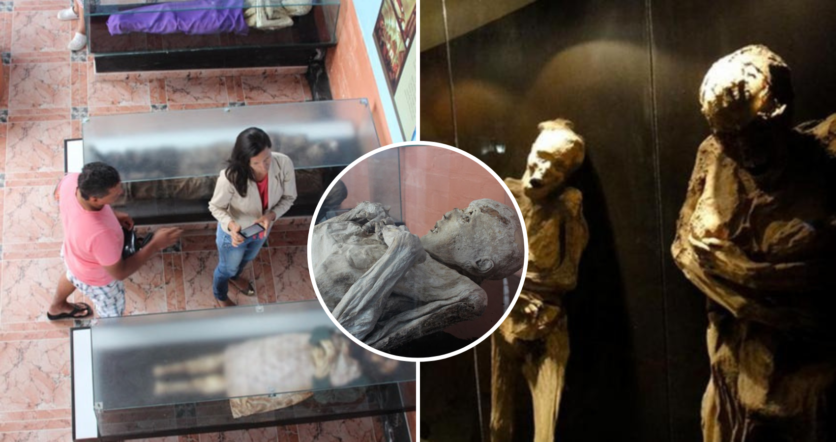 What Materials: Earth, Gas, Or Fruit Created The San Bernardino Natural Mummies?