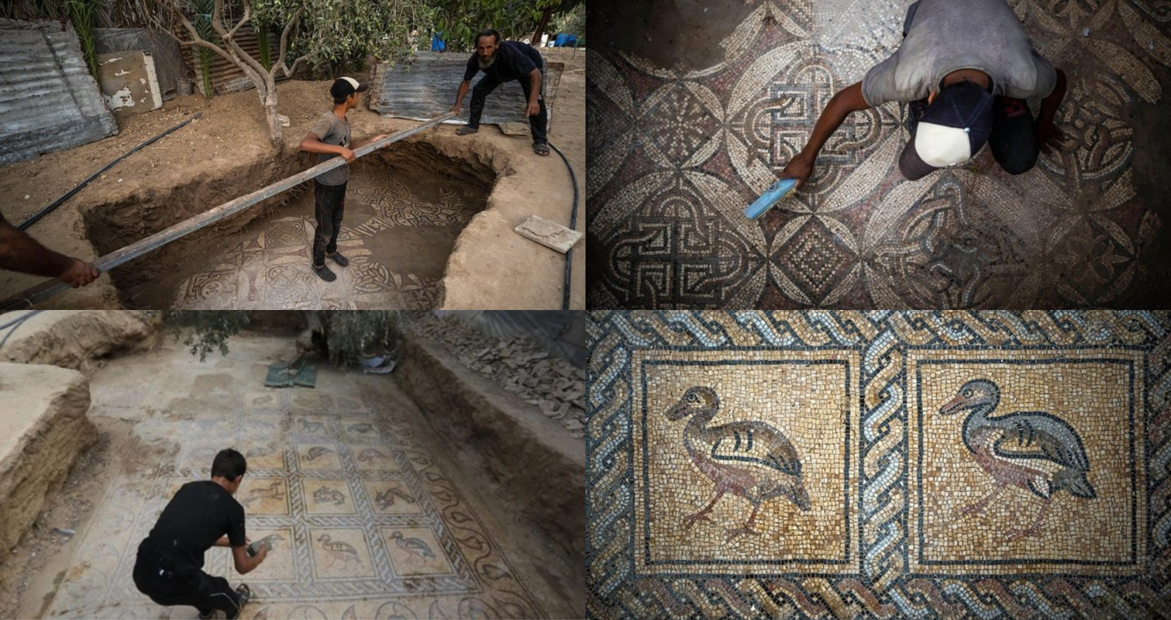 Stunning Byzantine Mosaic Uncovered in Gaza by Farmer
