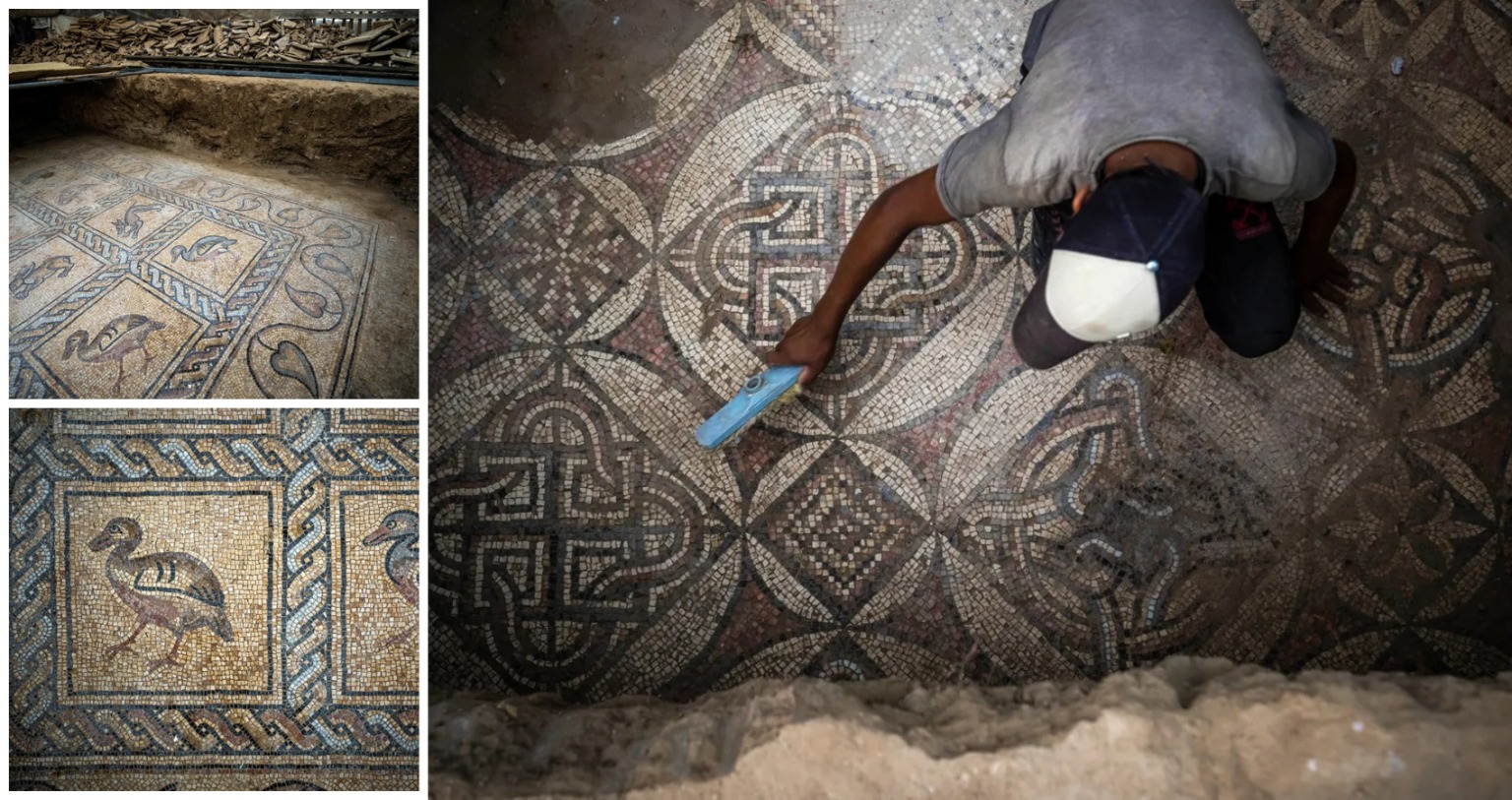 A Palestinian farmer was planting a tree. His shovel hit an ‘exceptional’ ancient mosaic.