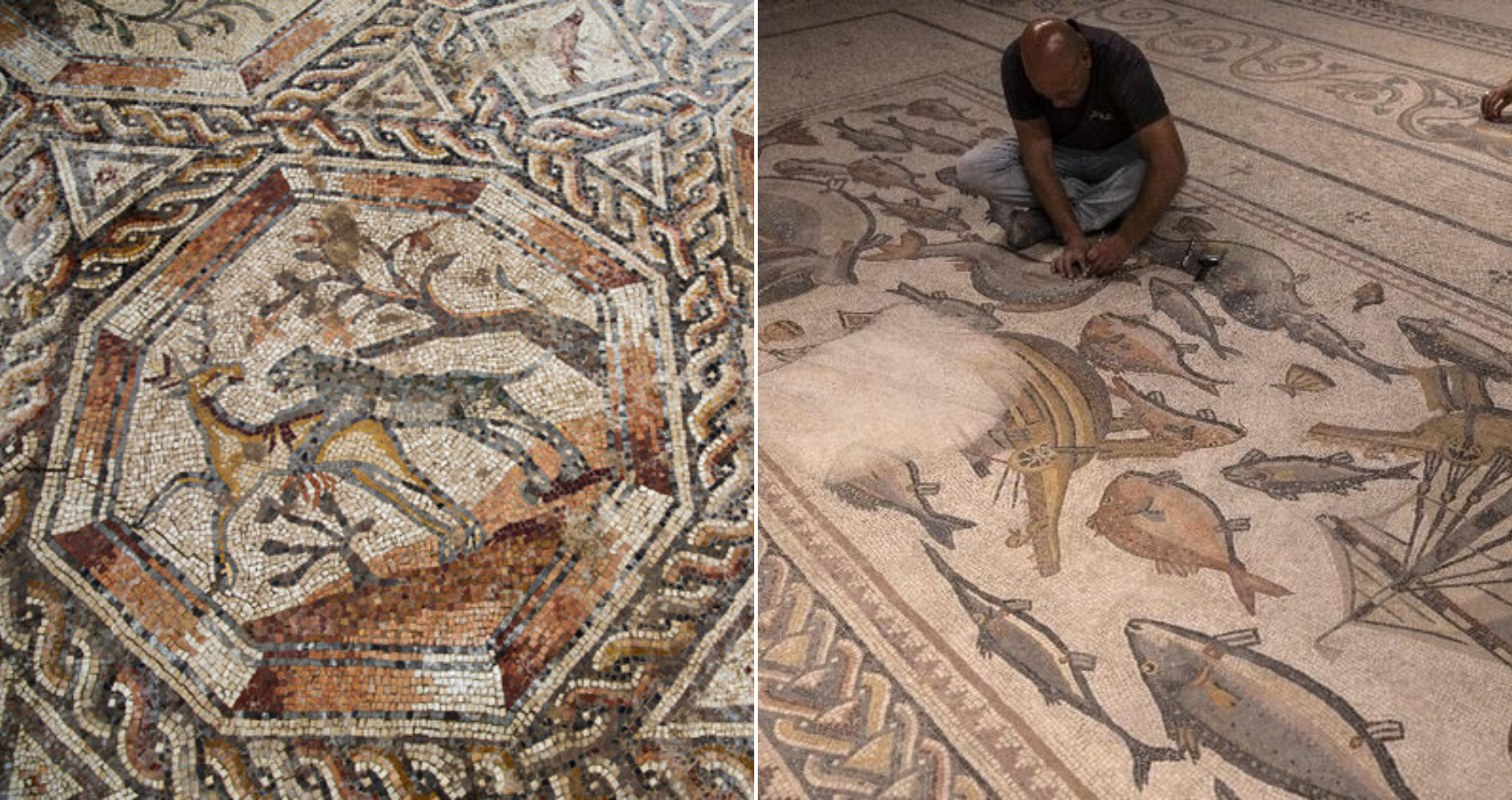 Roman-era mosaic back in Israel as centrepiece of new museum
