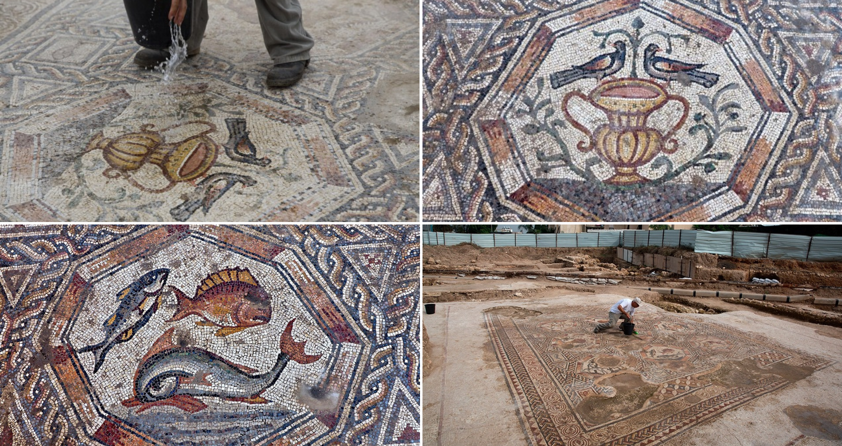 1,700-Year-Old Hidden Mosaic Unearthed During Construction of New Mosaic Museum