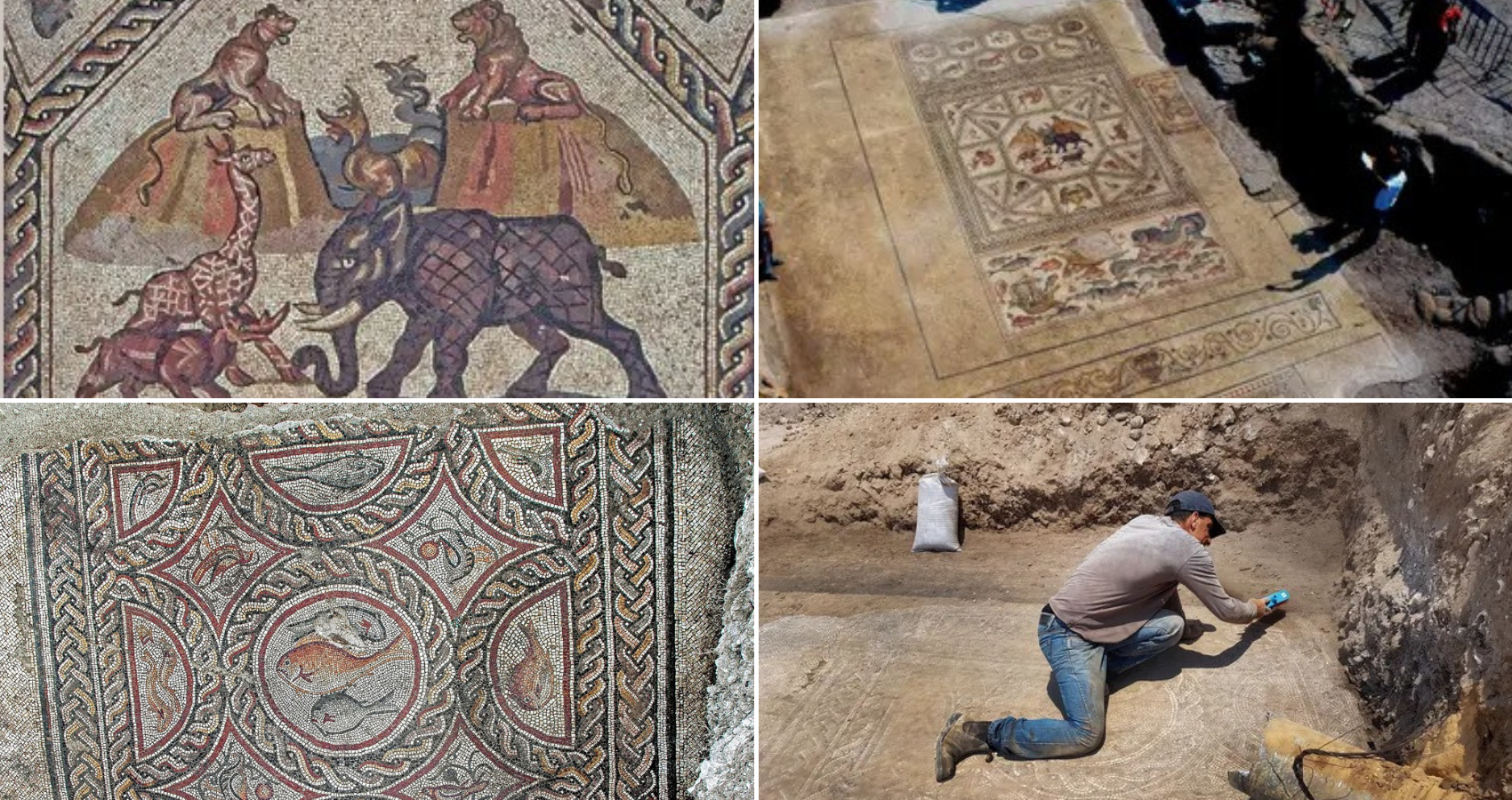 Exquisite ancient mosaic uncovered in Israel