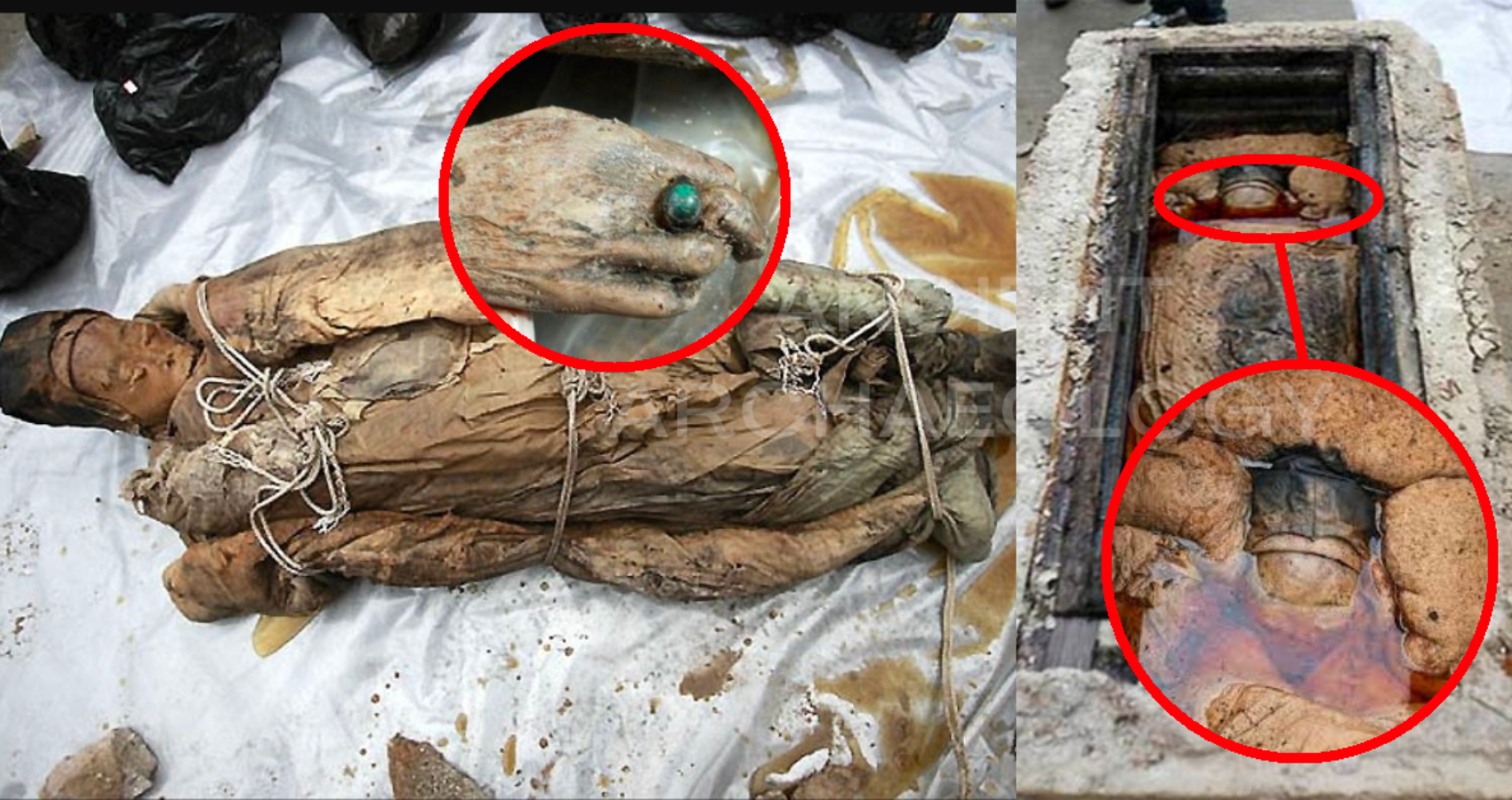The Accidental Mummy: the discovery of an impeccably preserved woman from the Ming Dynasty