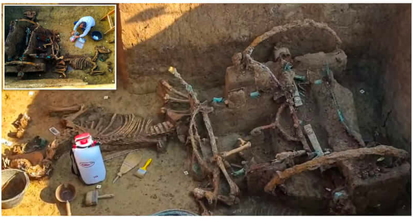 Remains Of Horses And Chariots Found In 3,000-Year-Old Tomb In China