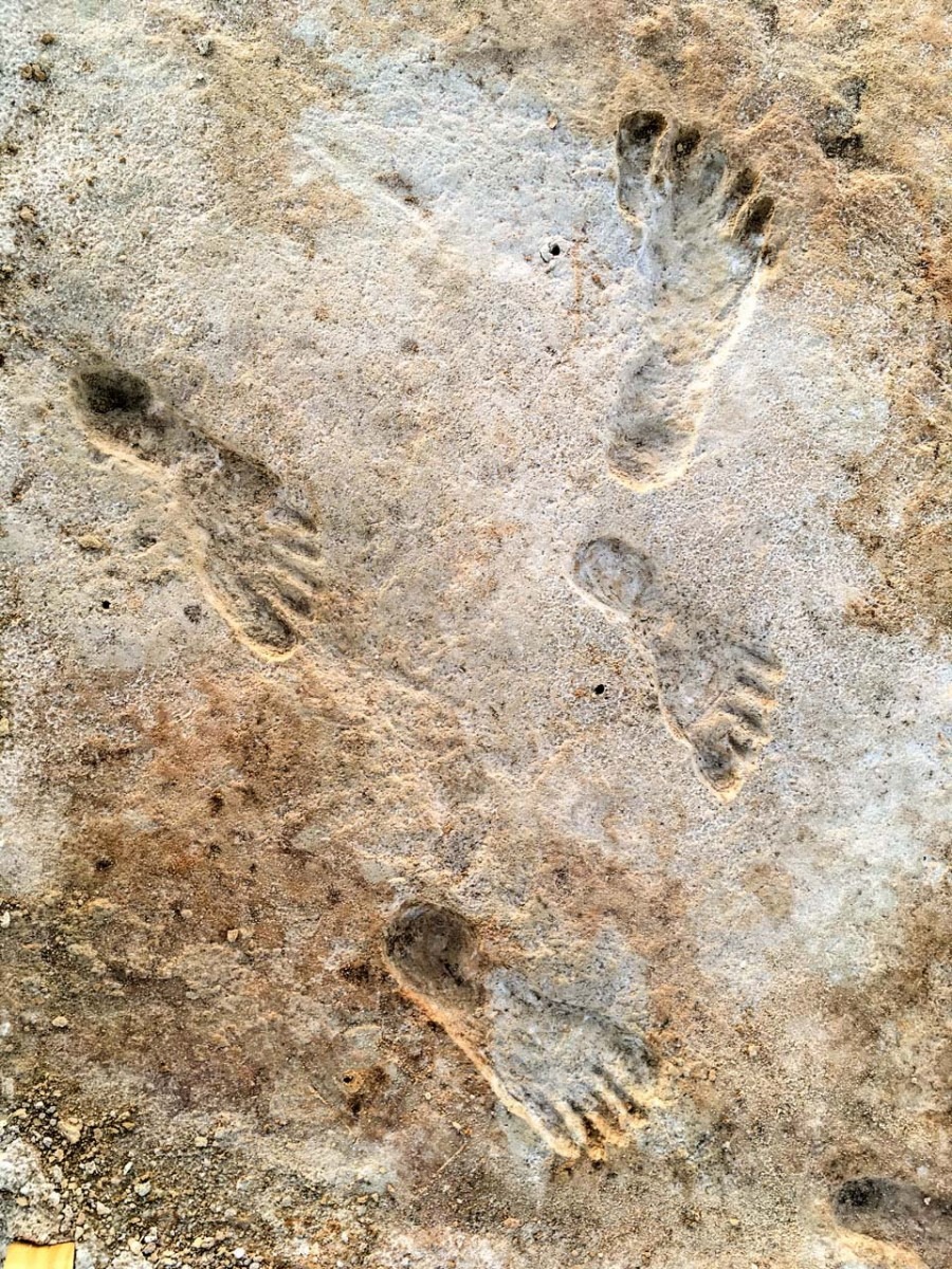 Footprints in New Mexico are oldest evidence of humans in the Americas
