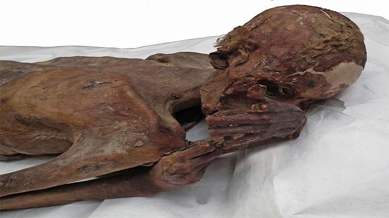 World’s Earliest Figural Tattoos Discovered On 5,000-Year-Old Egyptian Mummies