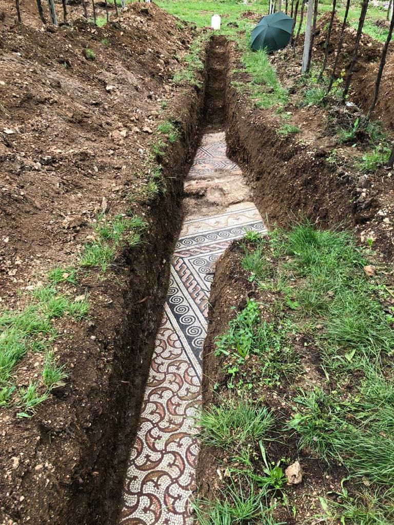 Ancient Roman Mosaic Floor Unearthed Beneath Italian Vineyard