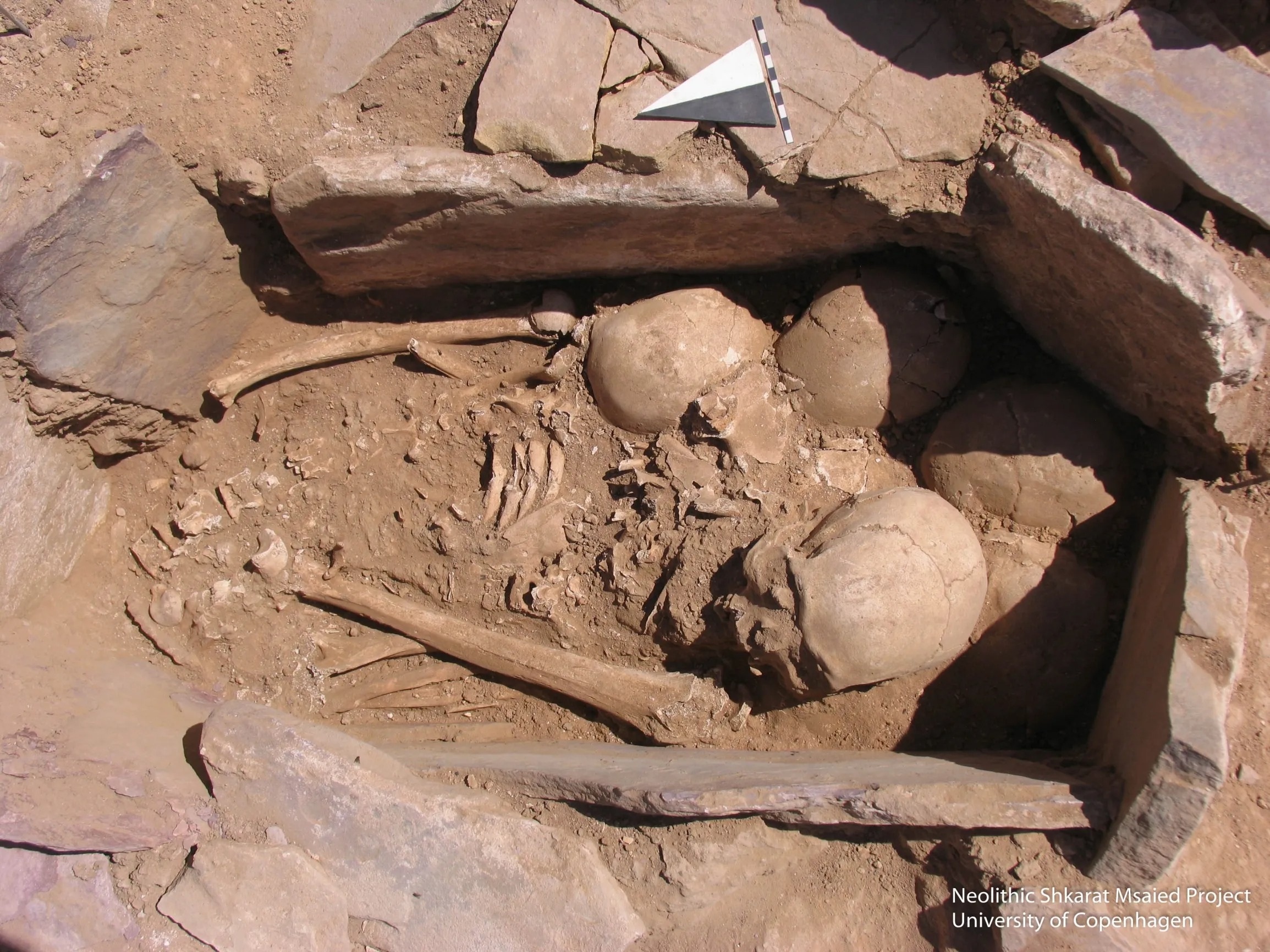 9,000-Year-Old Skeletons Found In Jordan Had Been ᴅɪsᴍᴇᴍʙᴇʀᴇᴅ, Sorted, And Buried In Homes