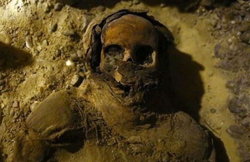 Incredible discovery of 50 mummies including 12 kids buried in Ancient Egyptian tomb