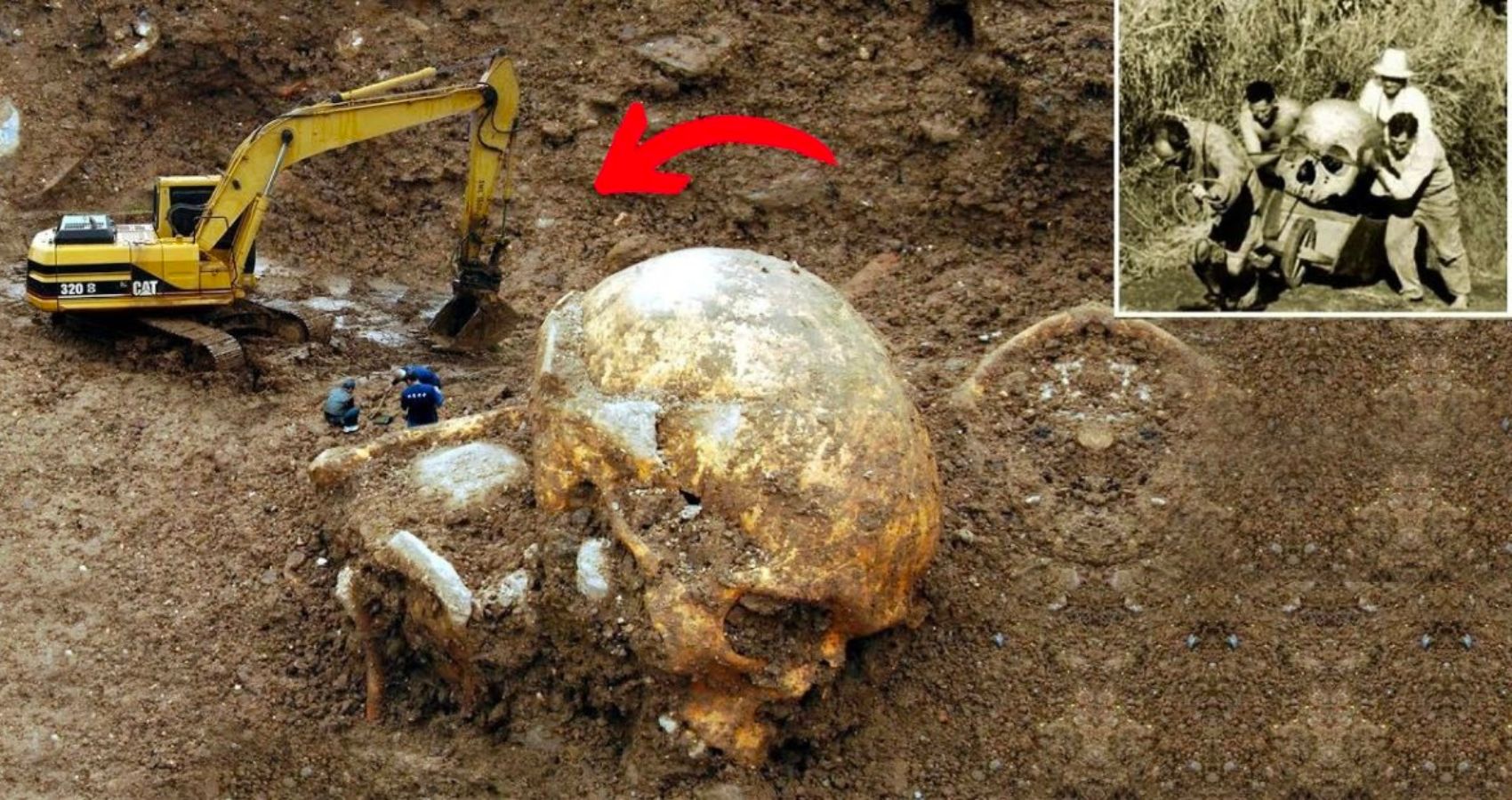 Giant “Skeletons of Unbelievable Size” Found in New Mexico