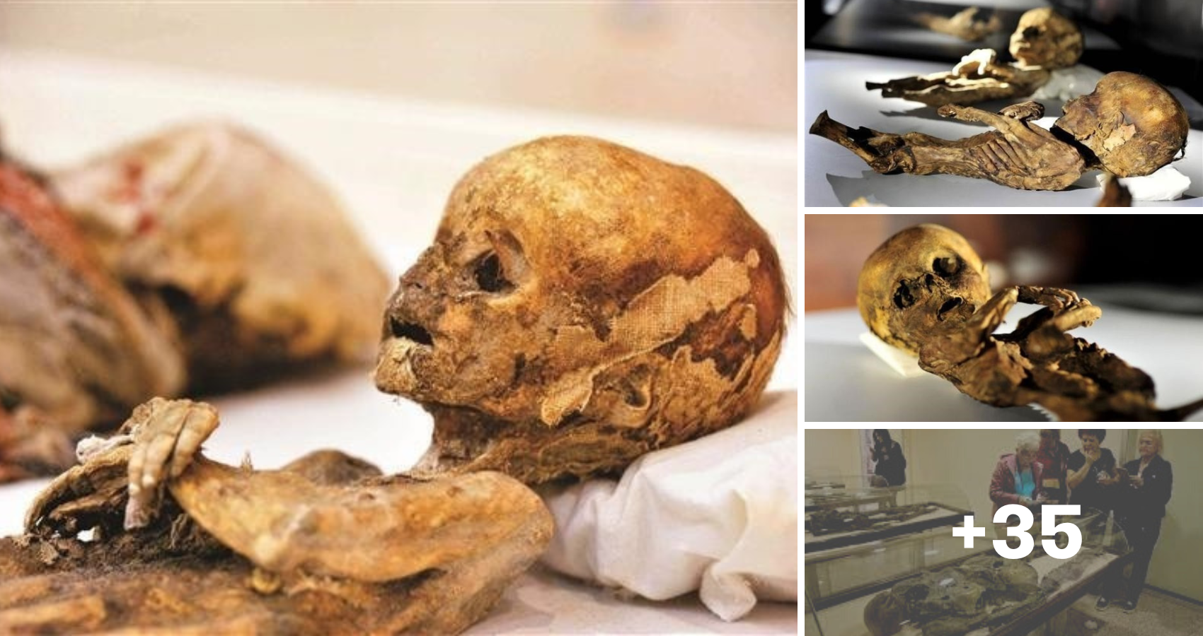 Mummies of Anatolia still a matter of interest