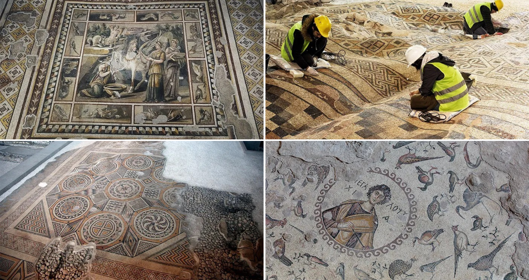 Discovering Roman mosaics