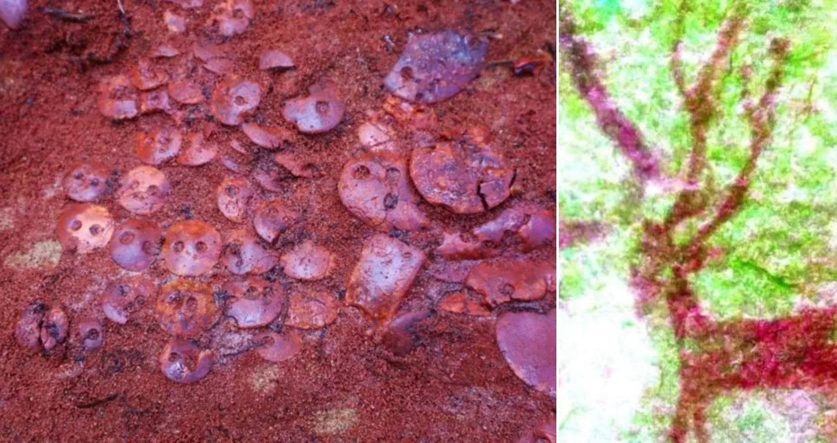 10,000-year-old rock art discovered in the Indian village of Medikonda