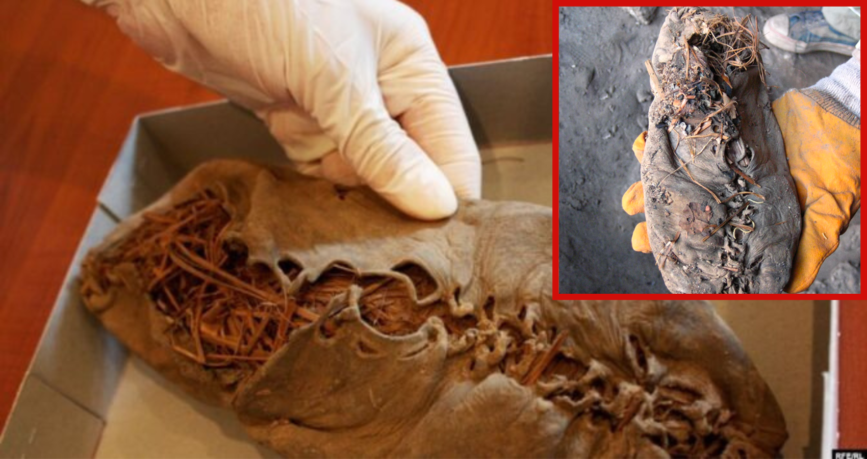 World’s oldest leather shoe which is 1,000 years older than the Great Pyramid.