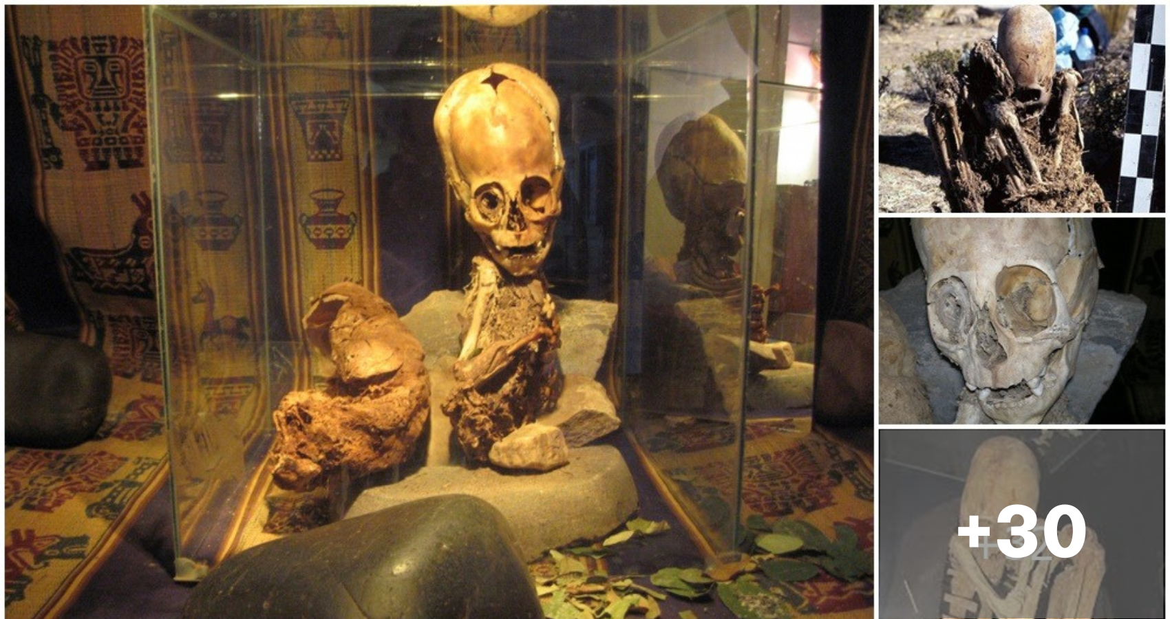 Researchers in Bolivia find two skeletons with unusually long heads