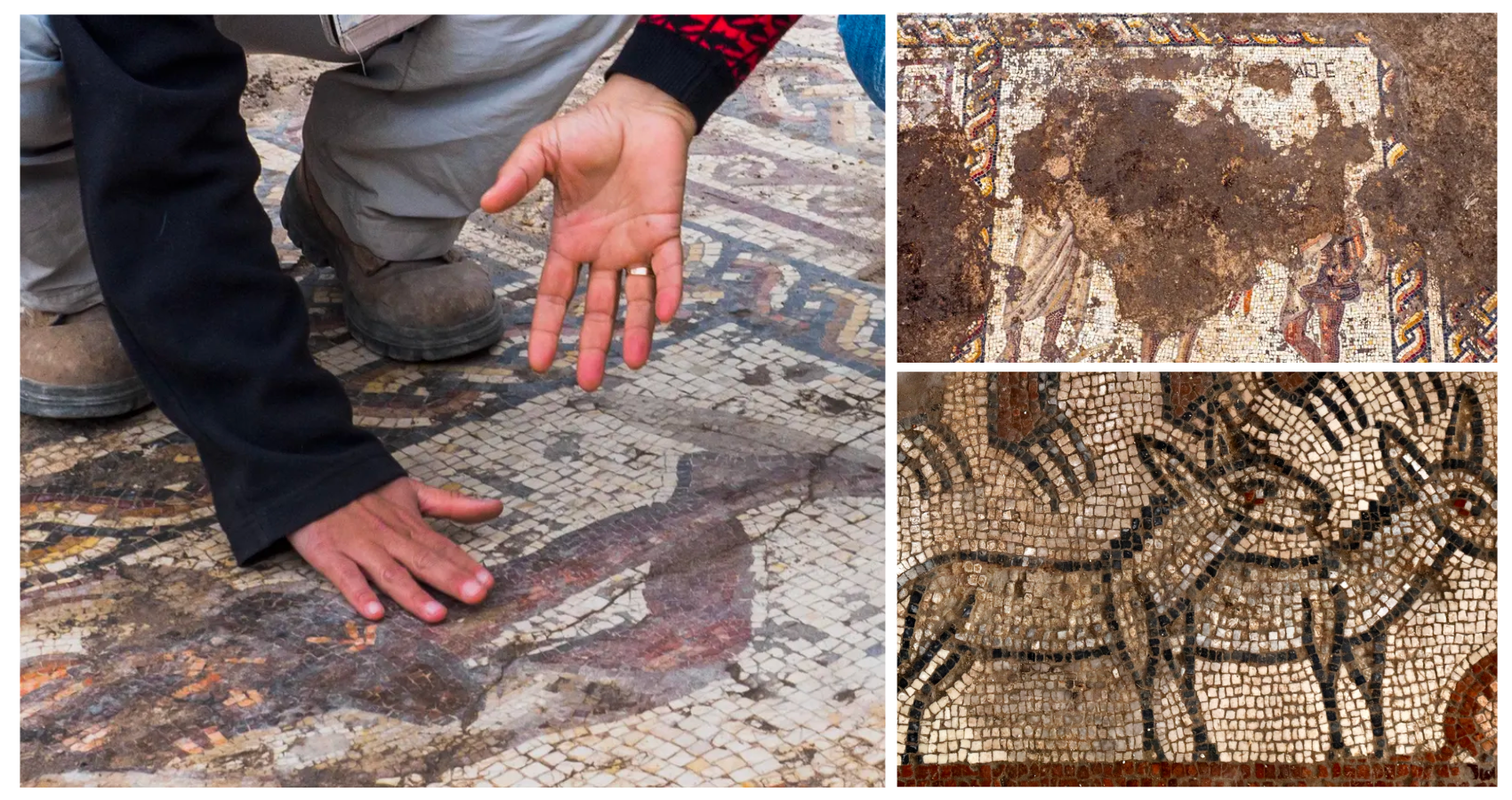 Rare Roman mosaic, featuring toga-wearing figures, discovered in Israel