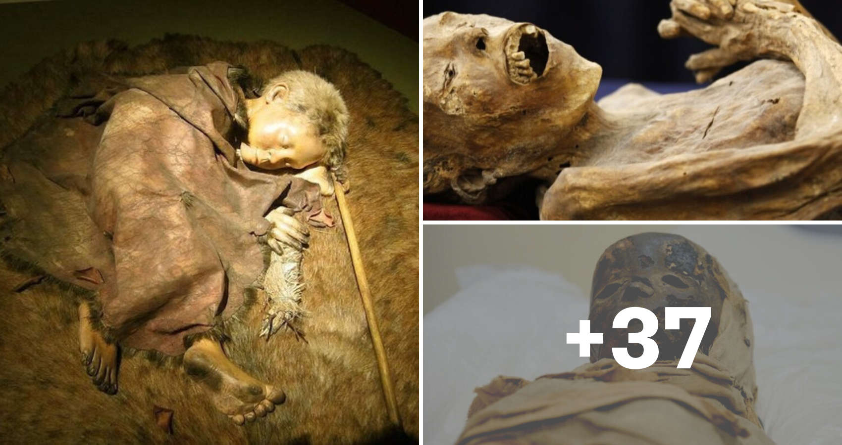 The Identity Of Four-Year-Old Laredo Kid Mummy, Who May Be Neanderthal/Human Hybrid, Has Not Been Identified
