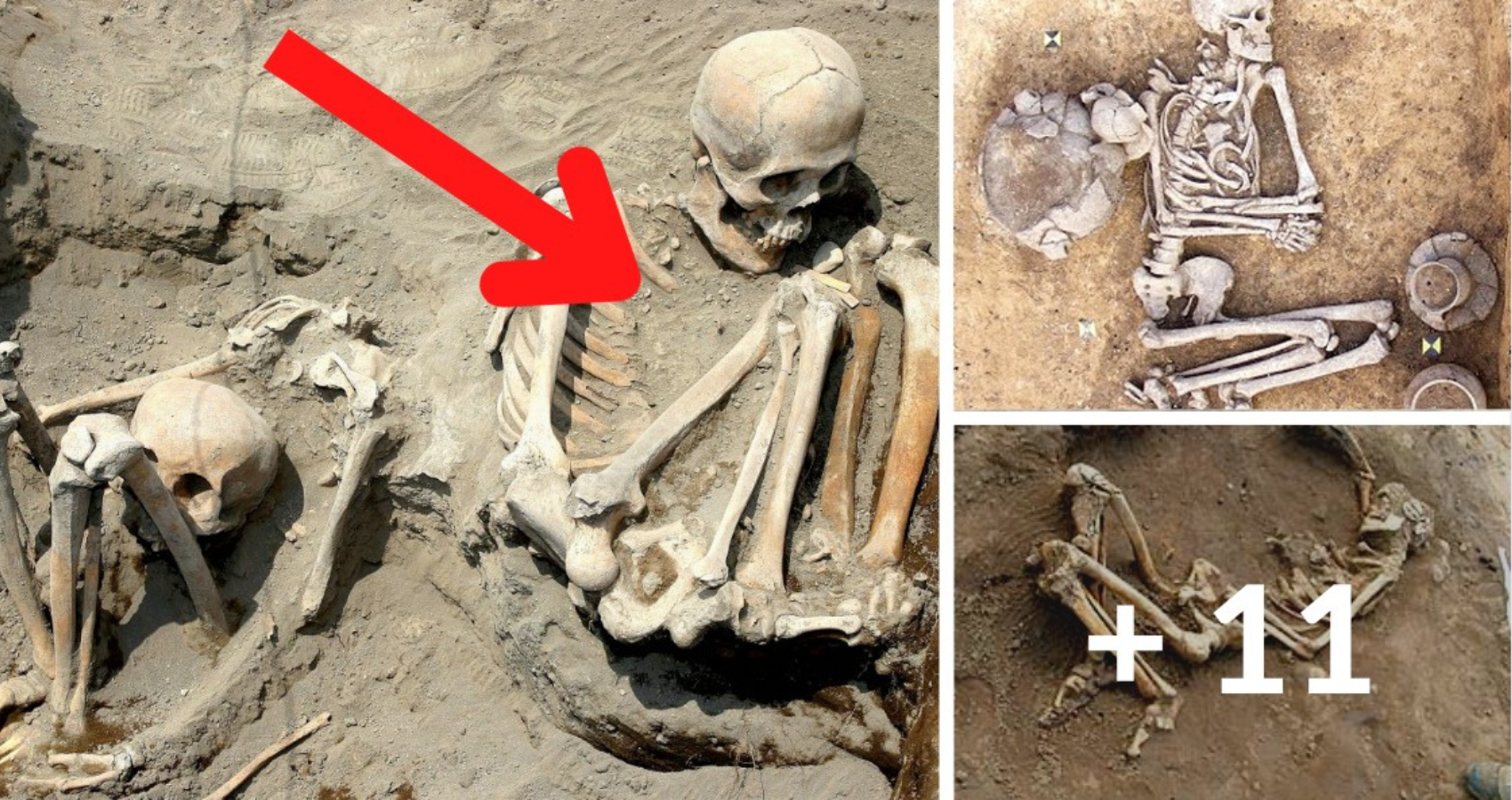 Massive human remains are frequently found in the Philippines. Archaeologists are putting forth a lot of effort to find