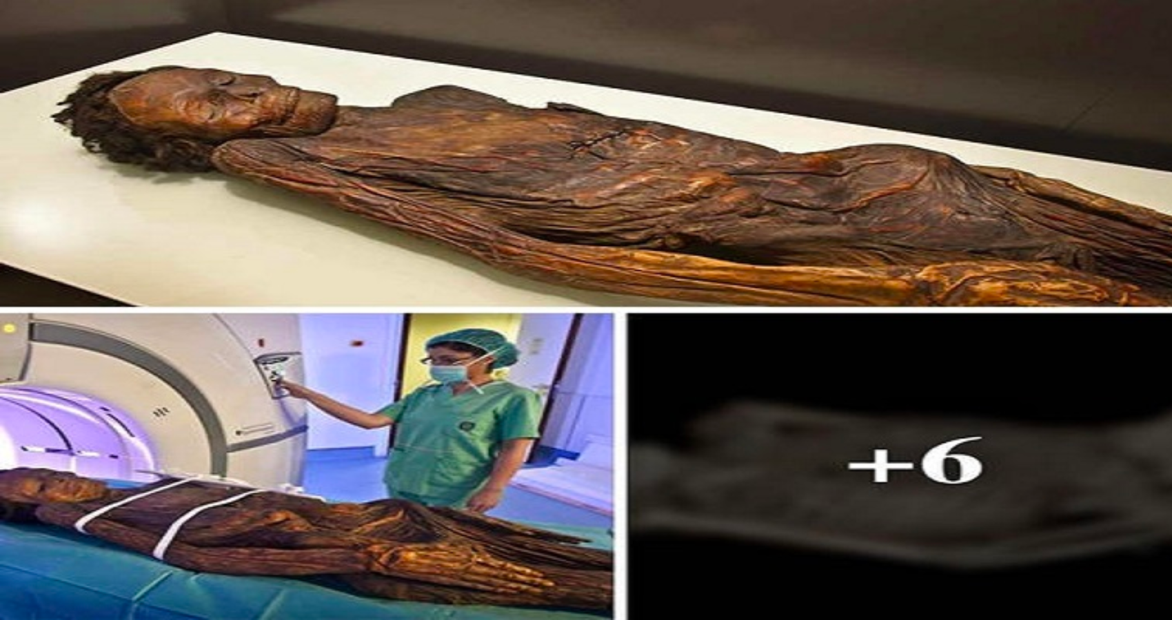 Famous Gaunches Mummies Drenched In Dragons’ Blood Like A Stradivarius Violin