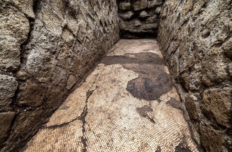 Archaeologists uncover ancient mosaic of the living room of brutal Publius Vedius Pollio