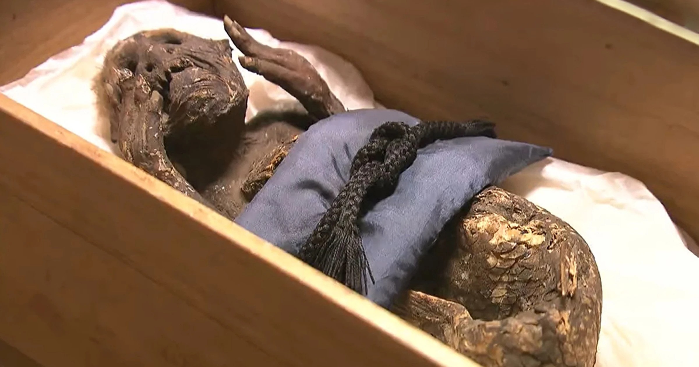 300-Year-Old Sacred Mummified Mermaid From Japan’s Mystery Solved