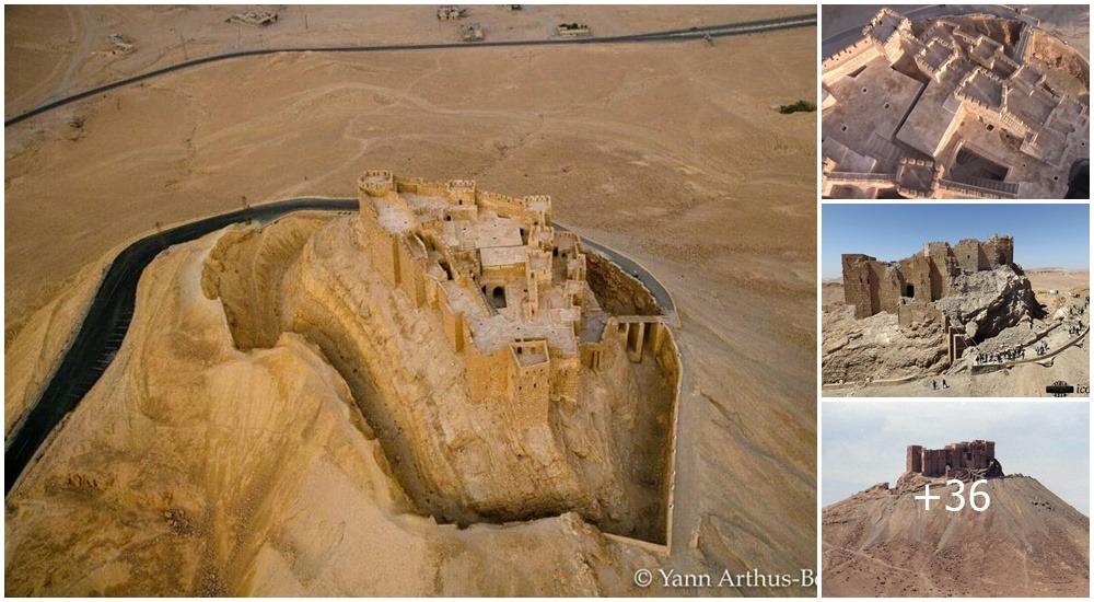 Syria’s Palmyra Castle dating back to the 13th century CE.