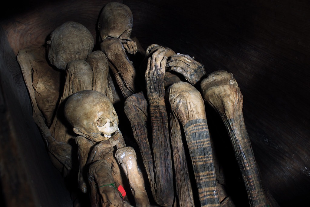 Timbac Mummies of the Philippines