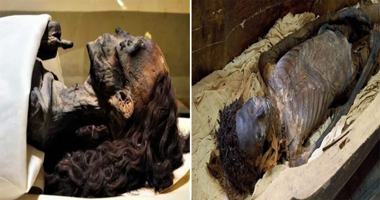 Discovery of 3,000-Year-Old Mummy with Perfectly Preserved and Unchanging Curls Amazes Researchers.