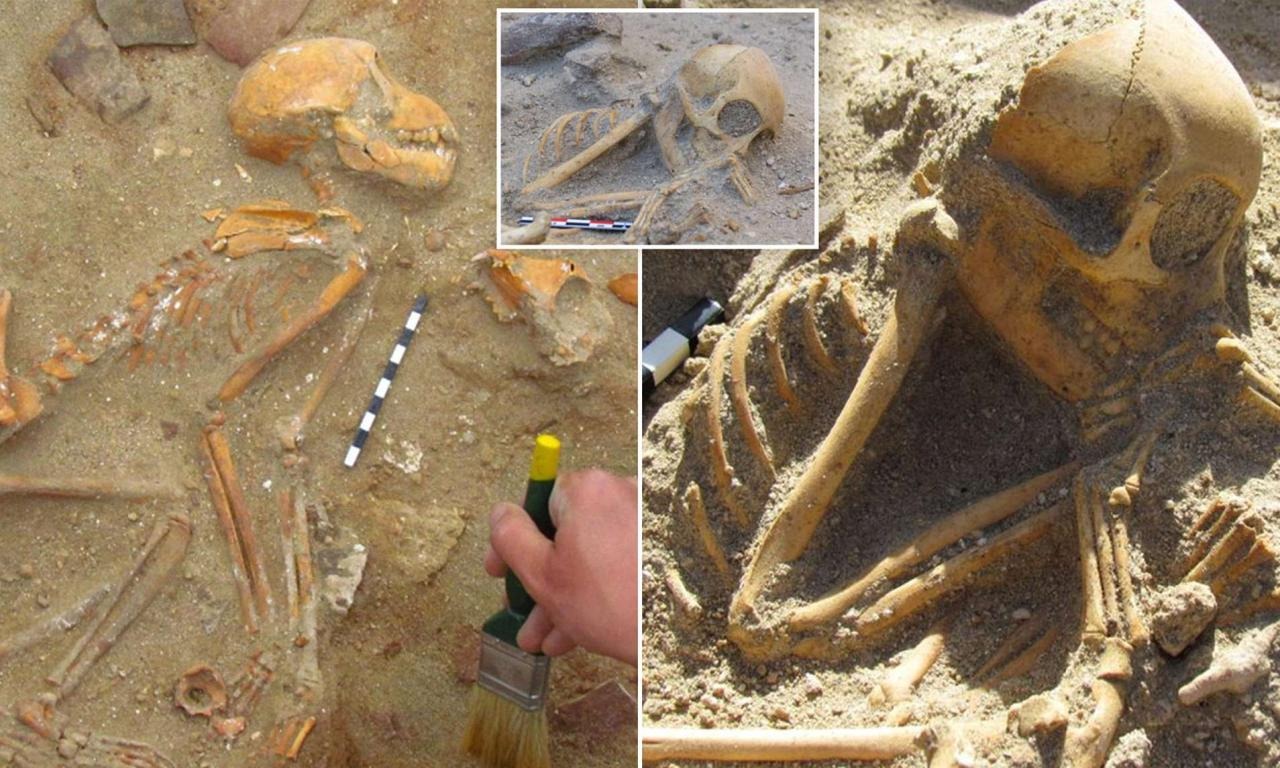 Discovered a 10m high skeleton and a gigantic cemetery dating back 5,500 years in Romania.